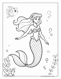 Ariel