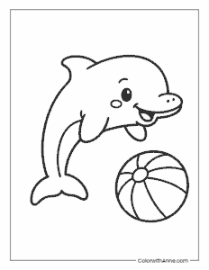 Dolphin