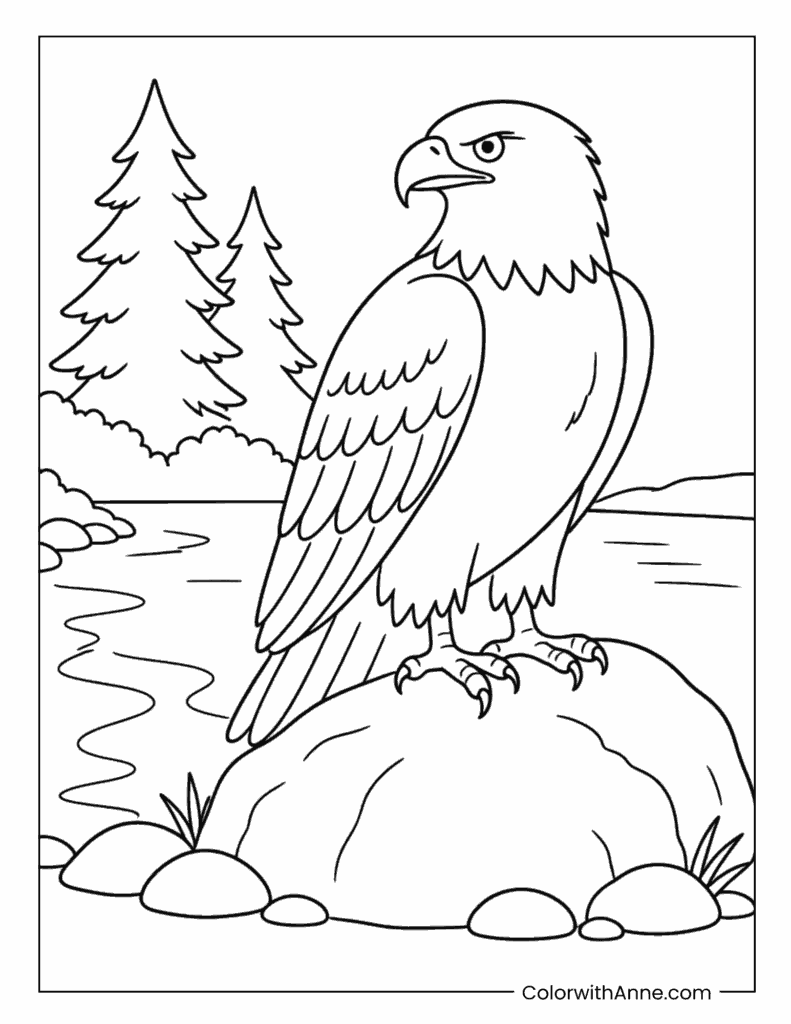 Bald Eagle Beside River Rocks Coloring Page