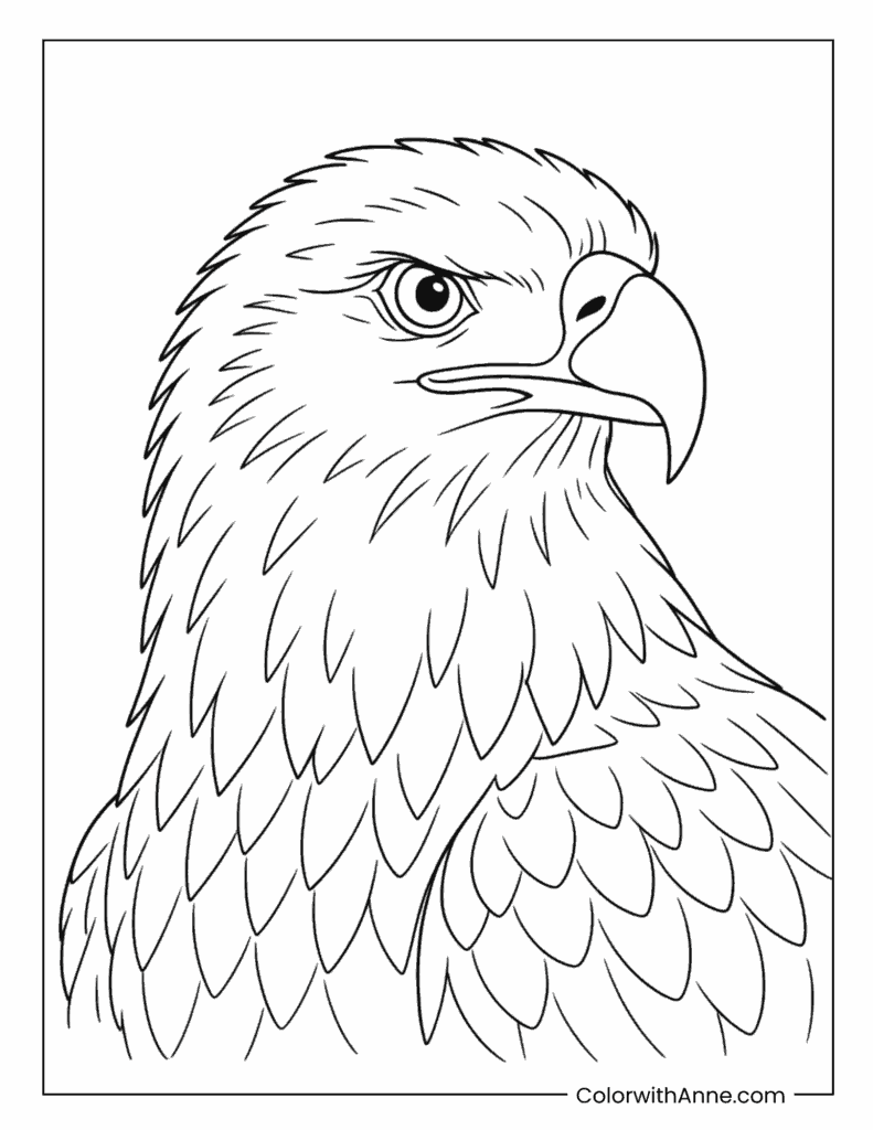 Bald Eagle Close Up Portrait Coloring Page