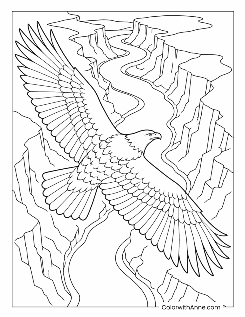 Bald Eagle Soaring Over a Canyon River Coloring Page