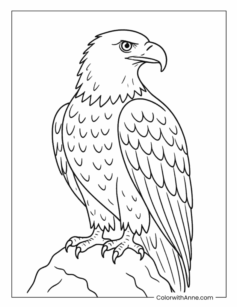 Bald Eagle Standing On Rock Coloring Page