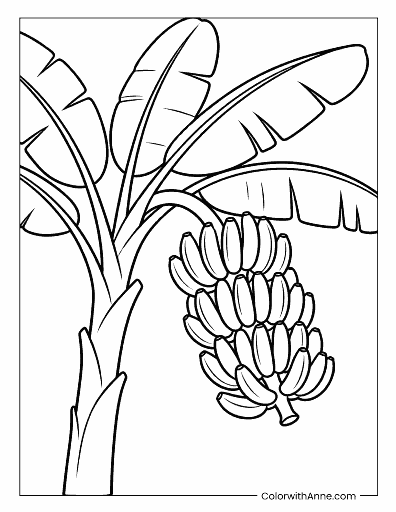 Banana Tree with a Large Bunch of Bananas Coloring Page