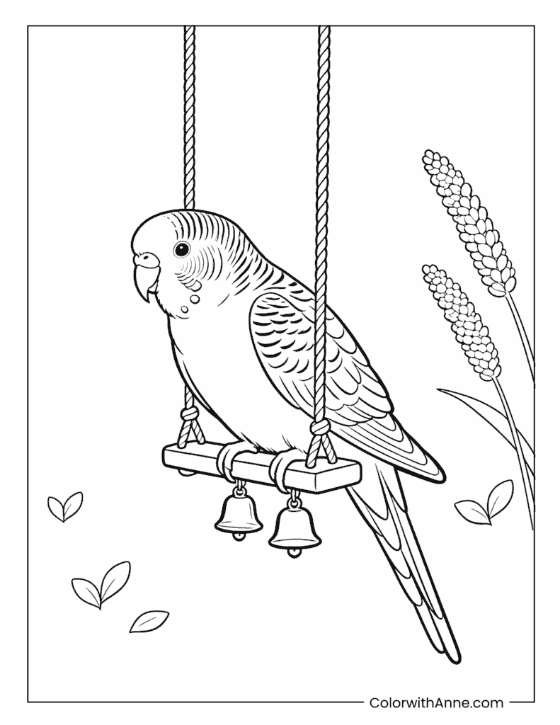 Budgie on a Hanging Perch Coloring Page
