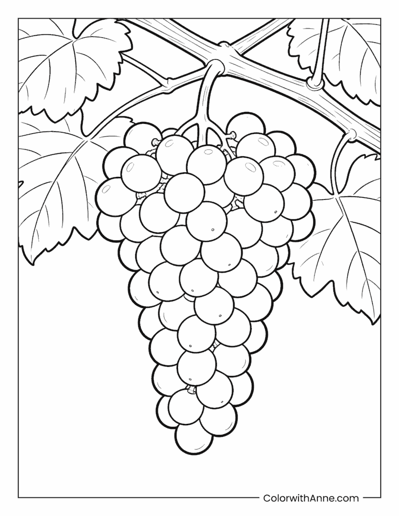 Bunch of Grapes on a Vine Coloring Page