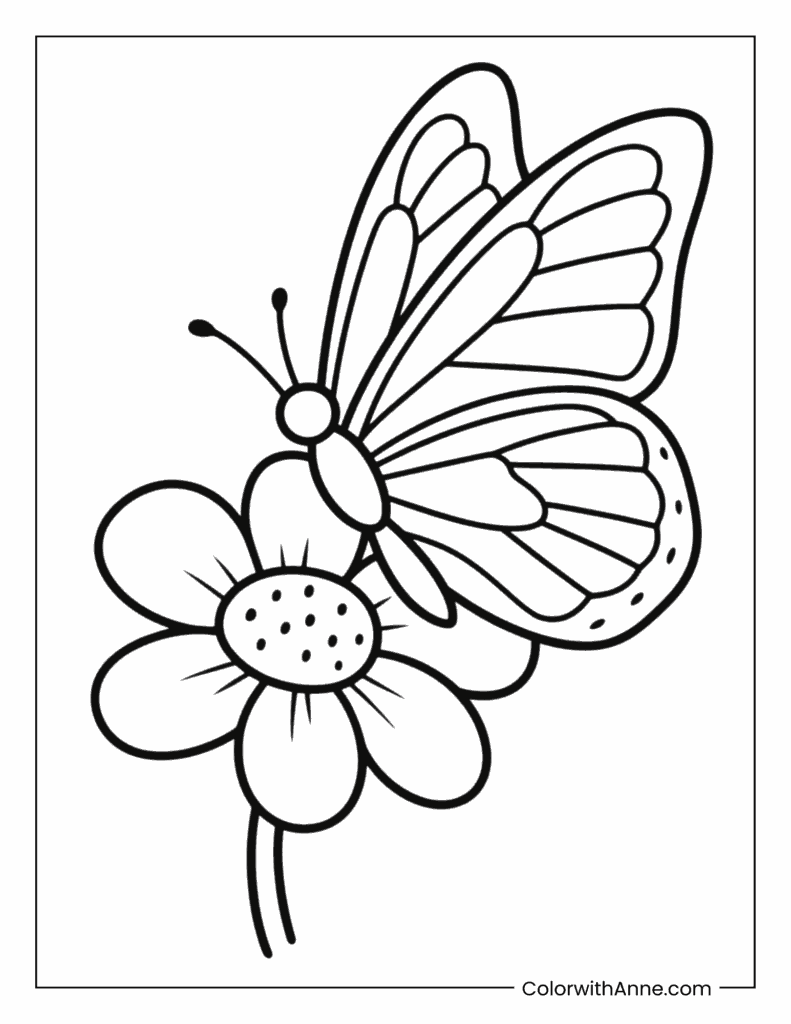 Butterfly on a Flower Coloring Page