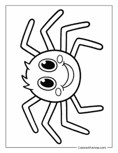Spider