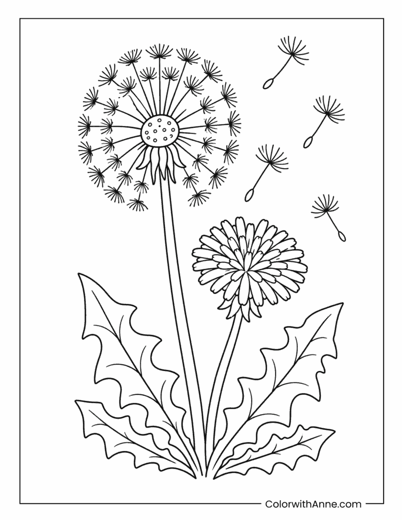 Dandelion Flowers with Floating Seeds Coloring Page