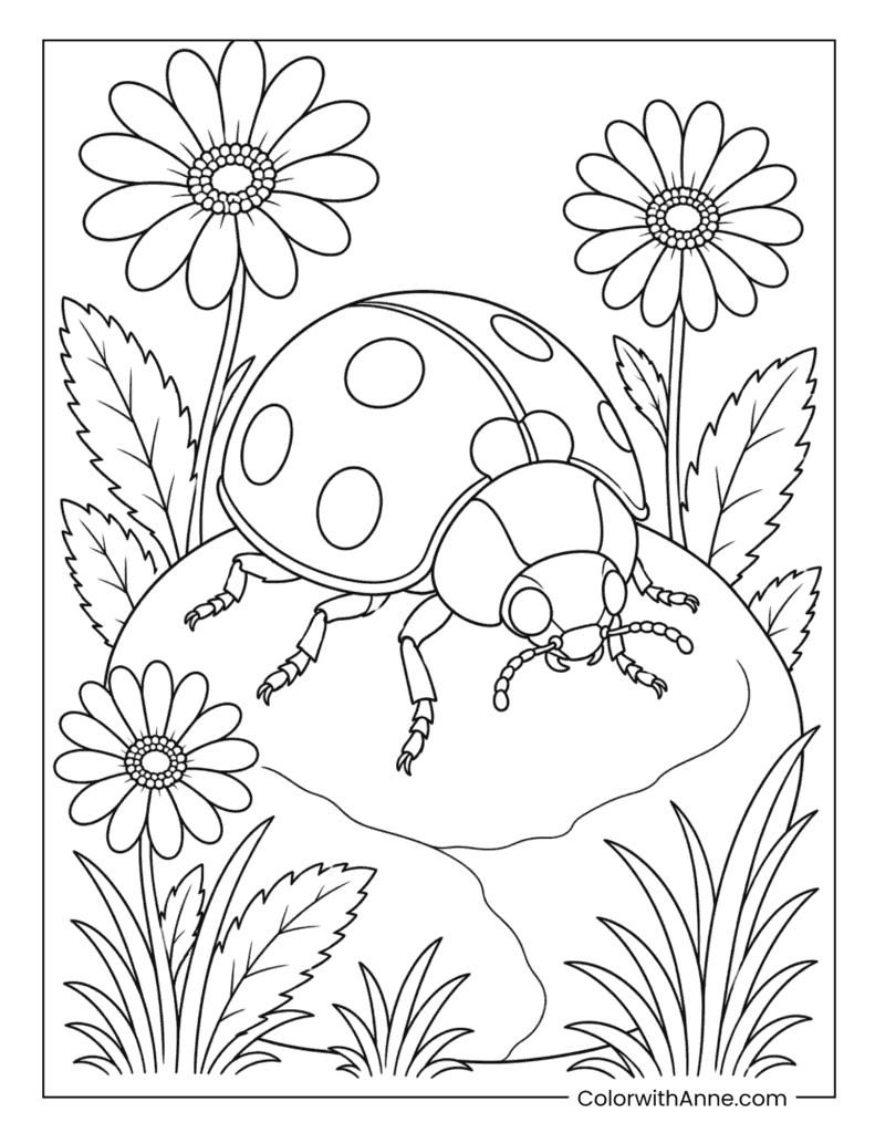 Detailed Ladybug on a Garden Rock Coloring Page