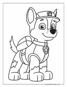 Paw Patrol