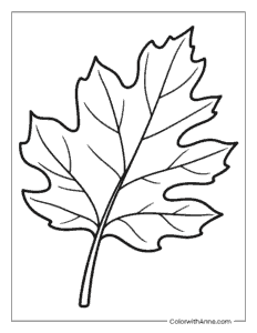 Leaf