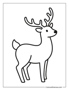 Reindeer