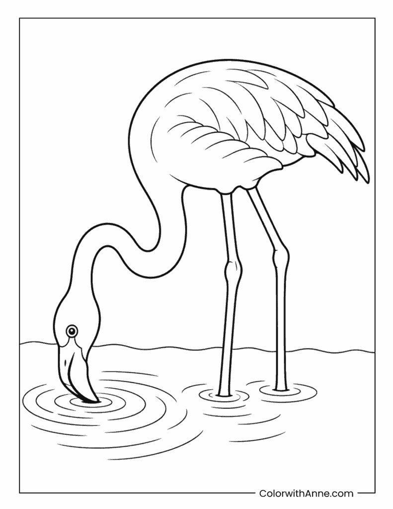 Flamingo Drinking From Water Coloring Page