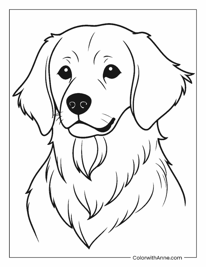 Golden Retriever Coloring Page