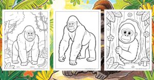 Gorilla Coloring Pages Banner