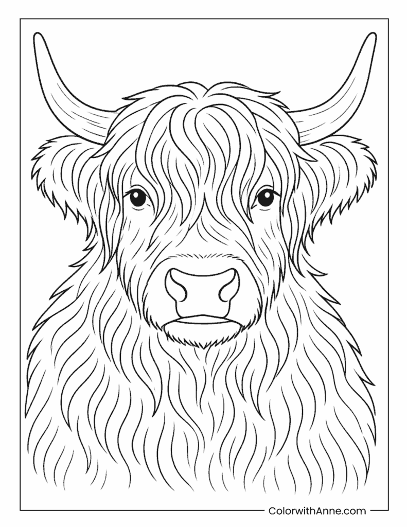 Highland Cow Close Up Portrait Coloring Page