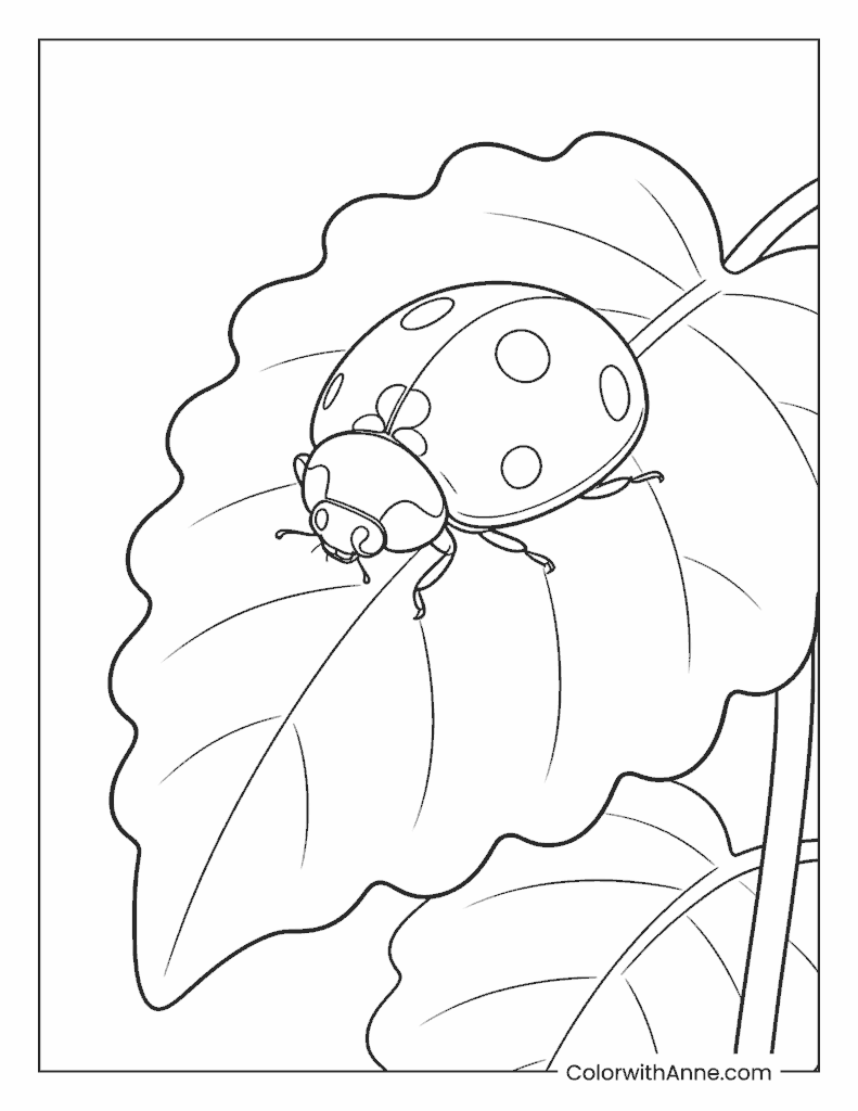 Ladybug Resting on a Leaf Coloring Page