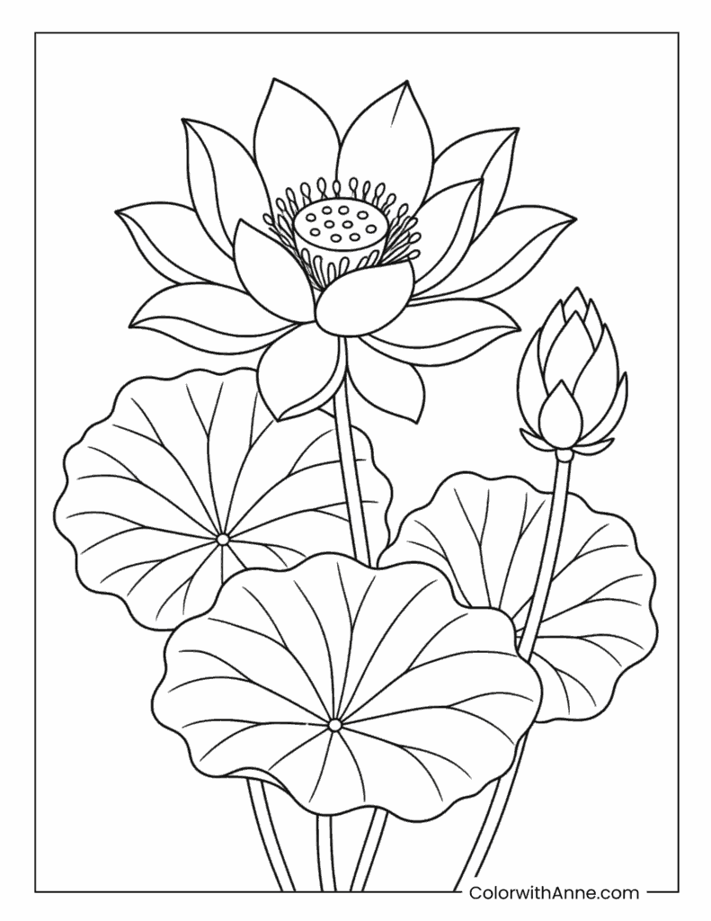 Lotus Flower and Lily Pads Coloring Page