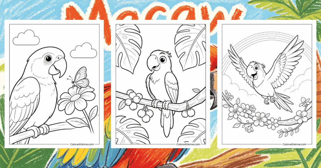 Macaw Coloring Pages Banner