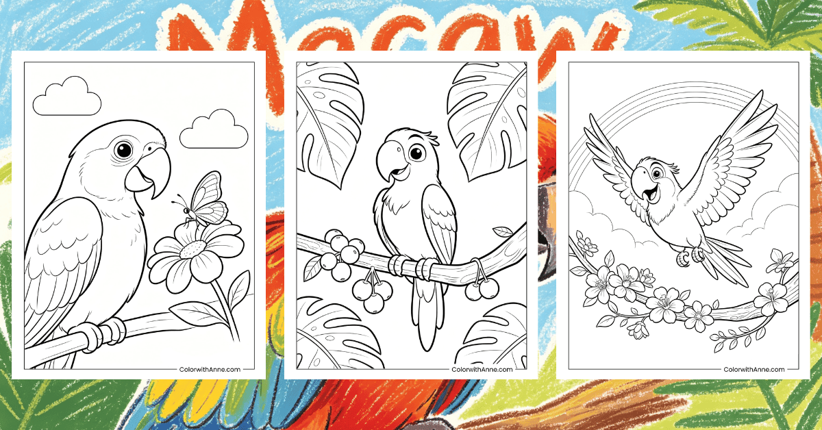 Macaw Coloring Pages Banner