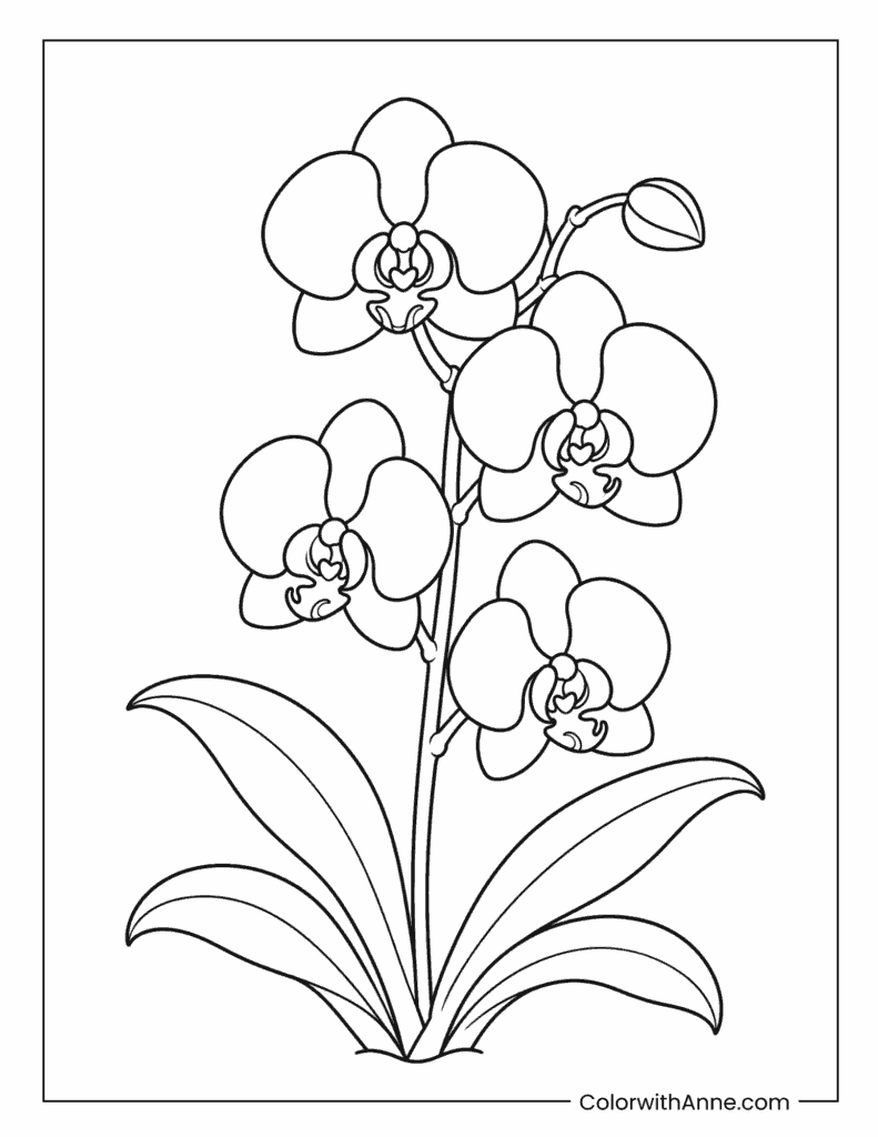 Orchid Flowers with Leaves Coloring Page