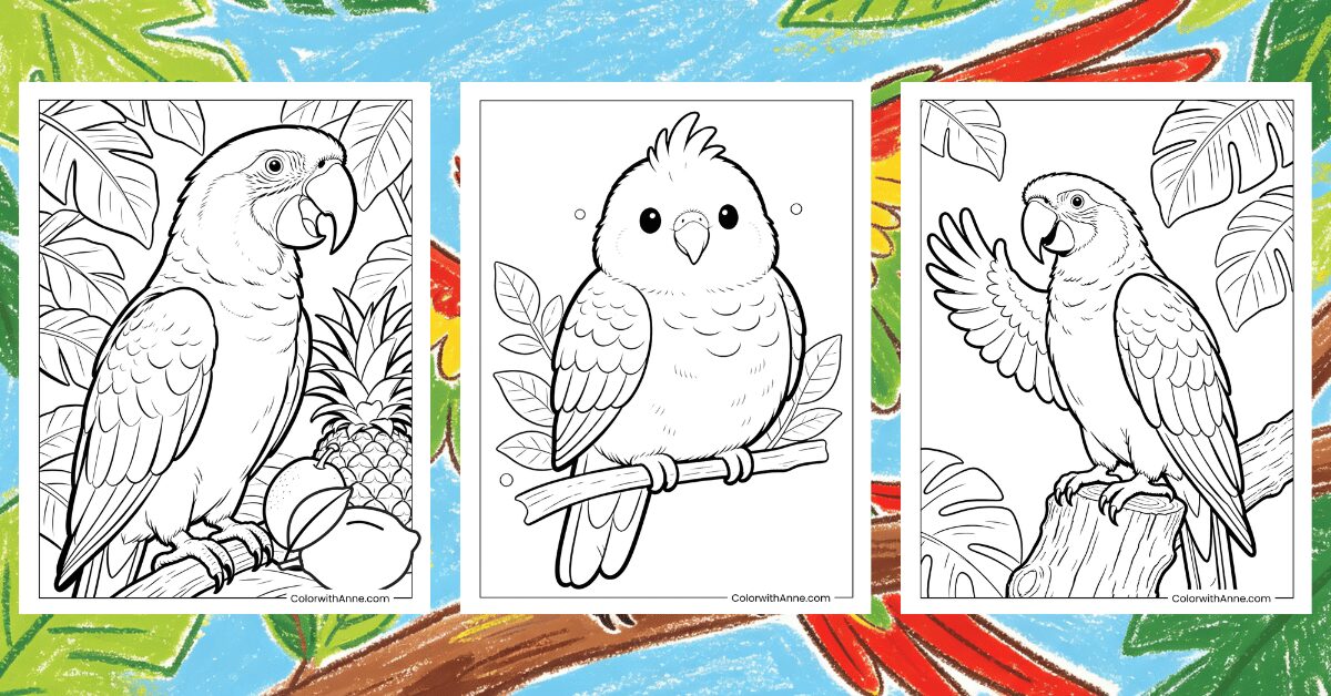 Parrot Coloring Pages Banner