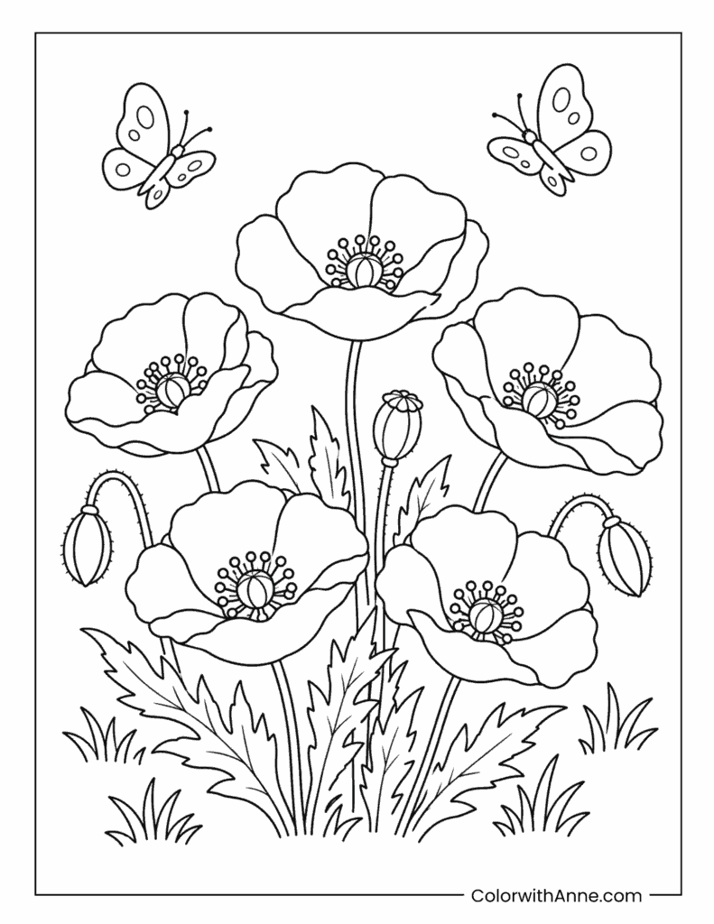 Poppy Flowers with Butterflies Coloring Page