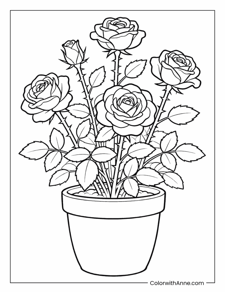 Potted Rose Bush Coloring Page