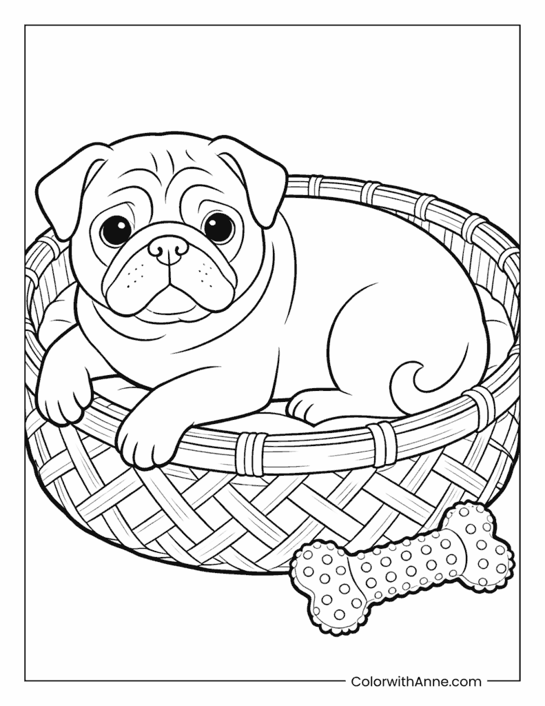 Pug Puppy in a Basket with Toy Bone Dog Coloring Page