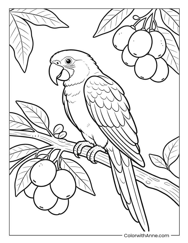 Realistic Macaw on Tropical Branch Coloring Page