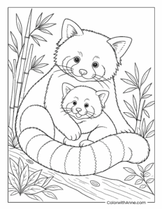 Red Panda