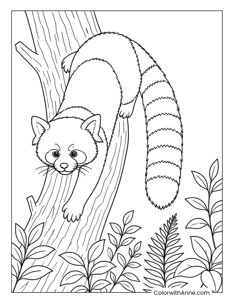 Red Panda Climbing Down Tree Coloring Page
