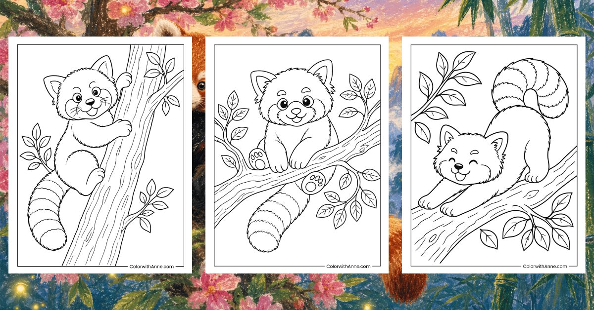Red Panda Coloring Pages Banner