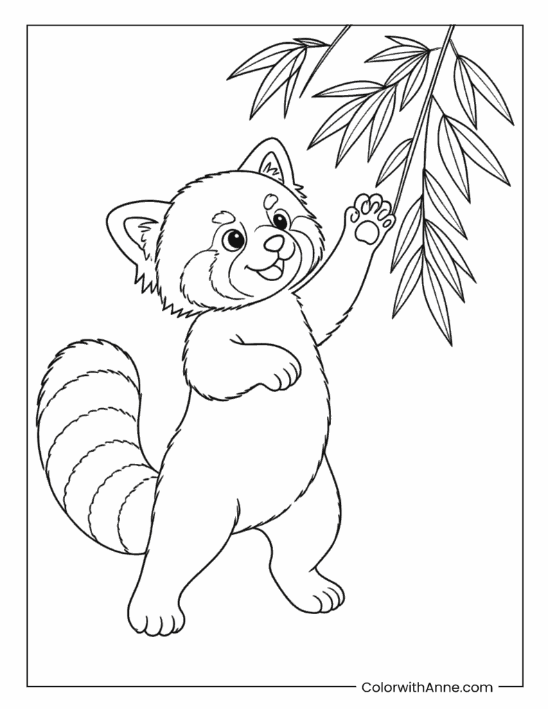 Red Panda Reaching Toward Bamboo Coloring Page