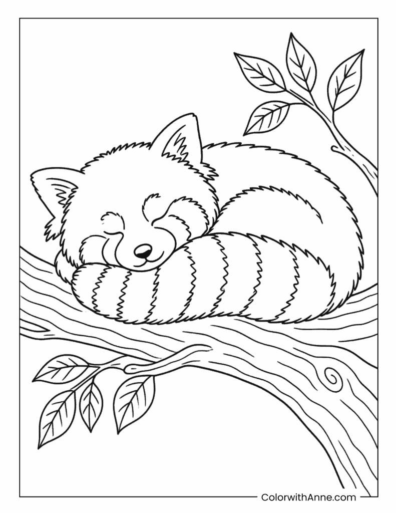 Red Panda Sleeping On Tree Branch Coloring Page