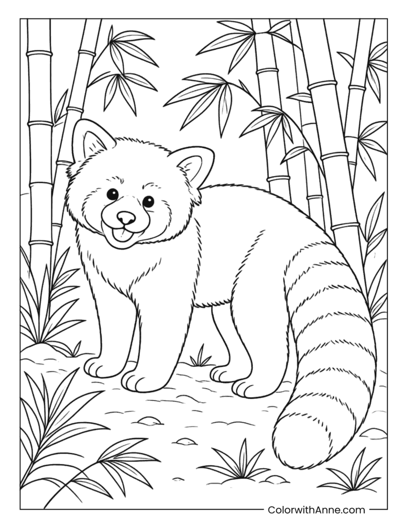 Red Panda Standing In Bamboo Grove Coloring Page