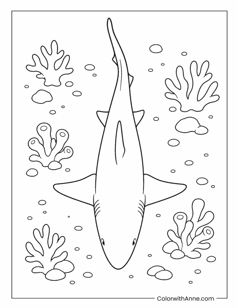 Shark Viewed from Above Near Coral Coloring Page