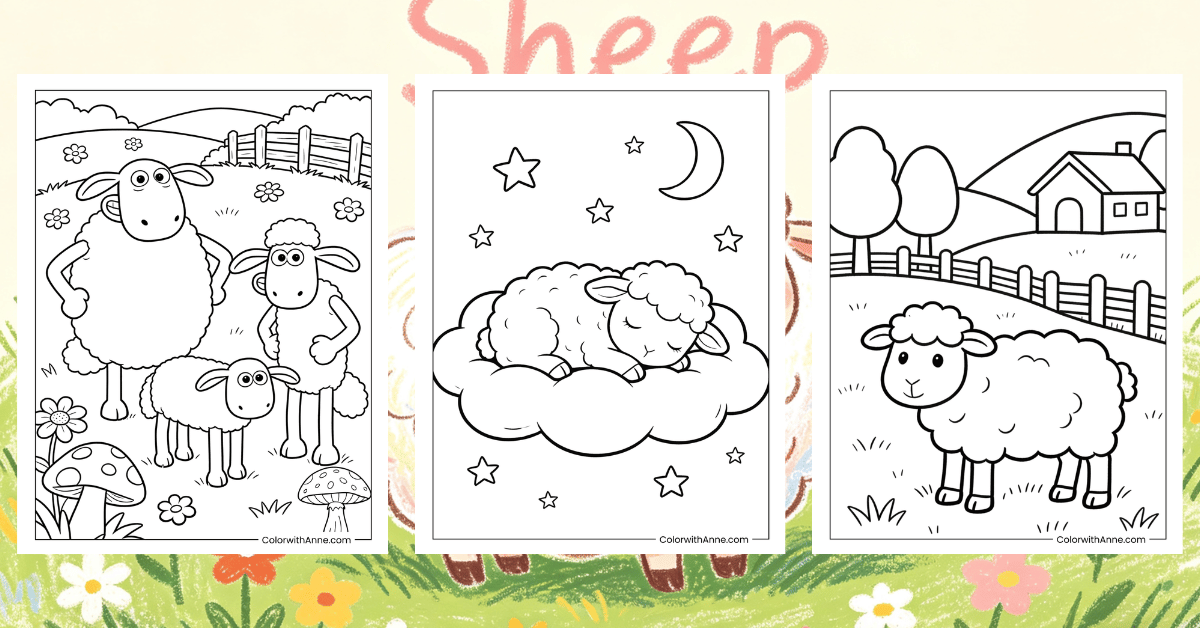Sheep Coloring Pages Banner