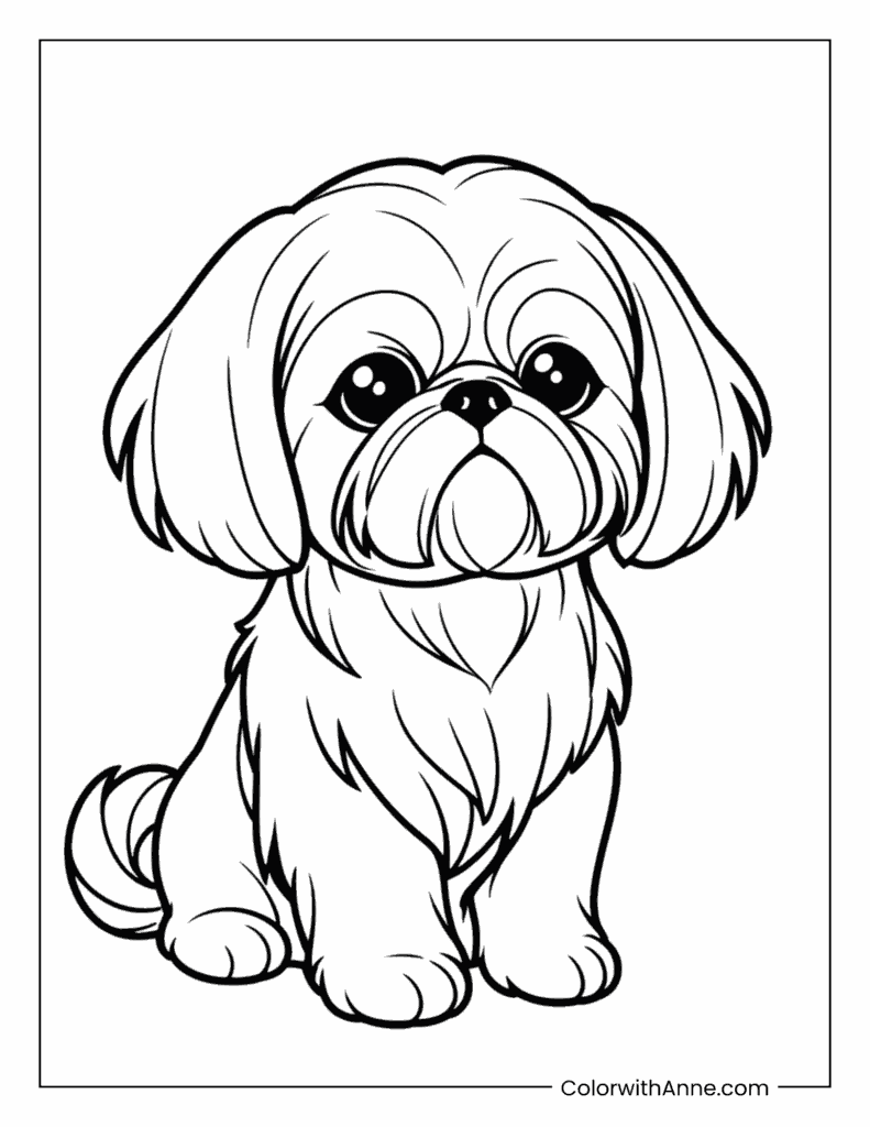 Shih Tzu Coloring Page