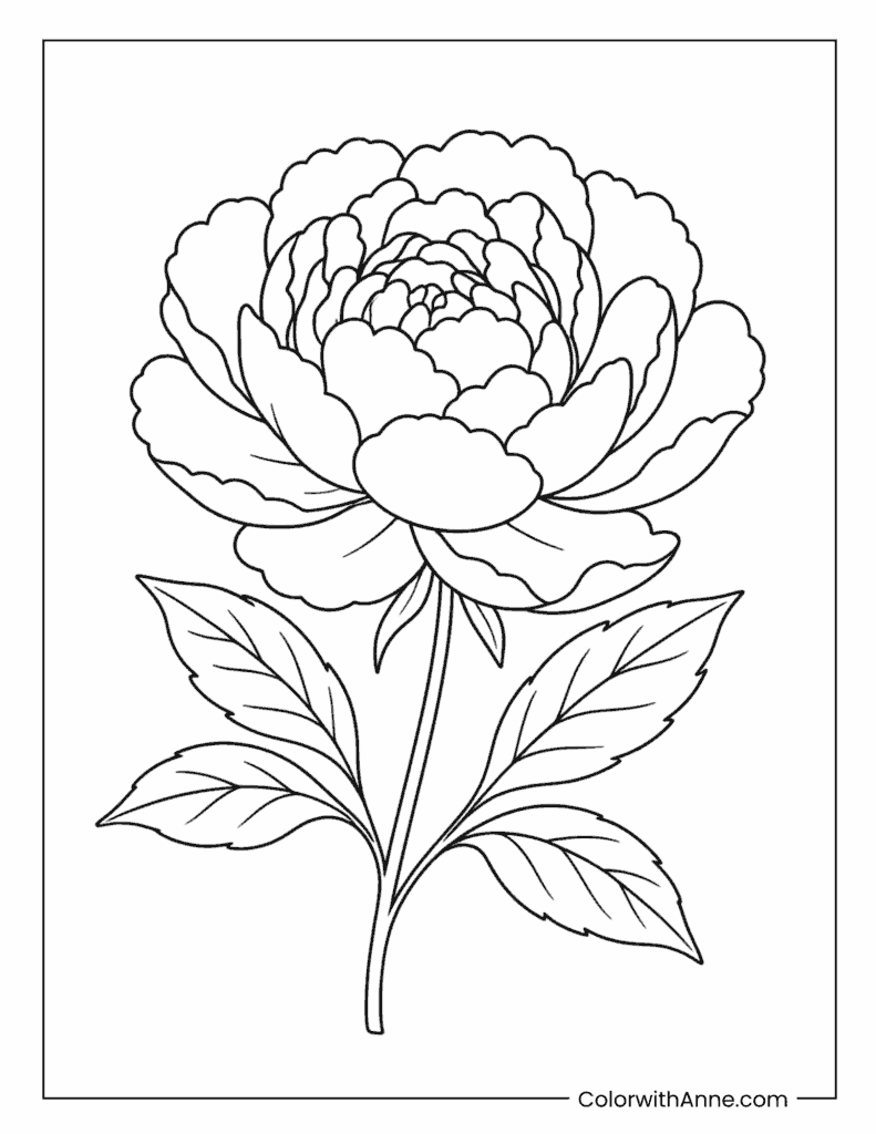 Simple Big Peony Flower Coloring Page