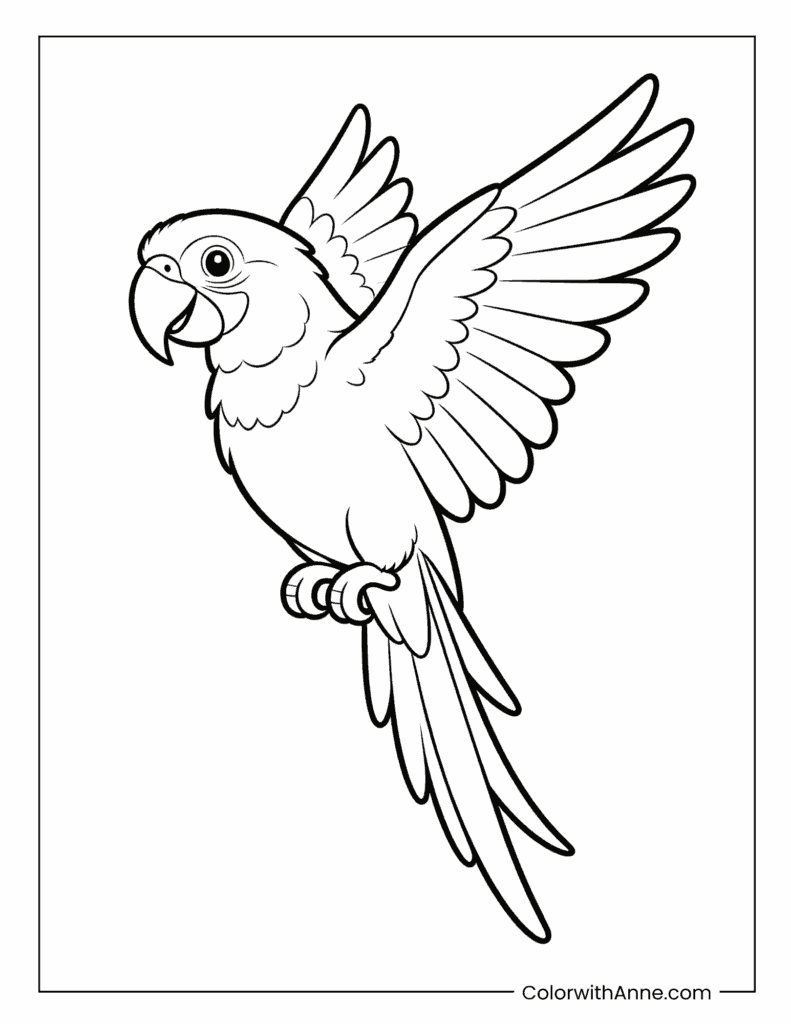 Simple Flying Macaw Coloring Page for Kids