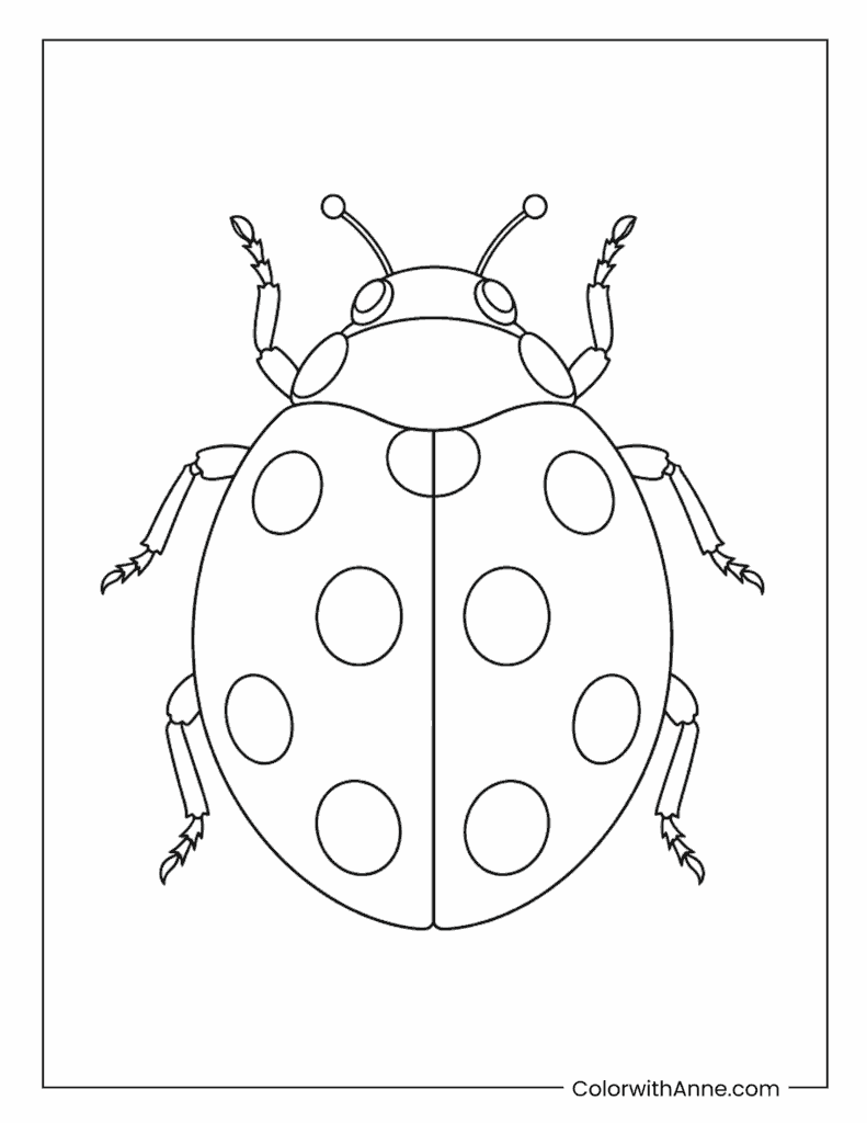 Simple Top-View Ladybug Coloring Page for Kids