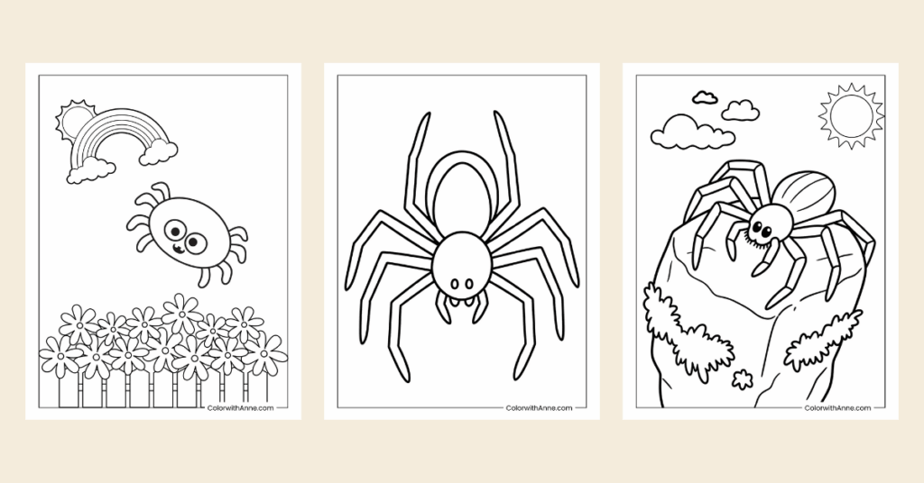 Spider Coloring Pages Banner