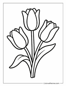 Tulip