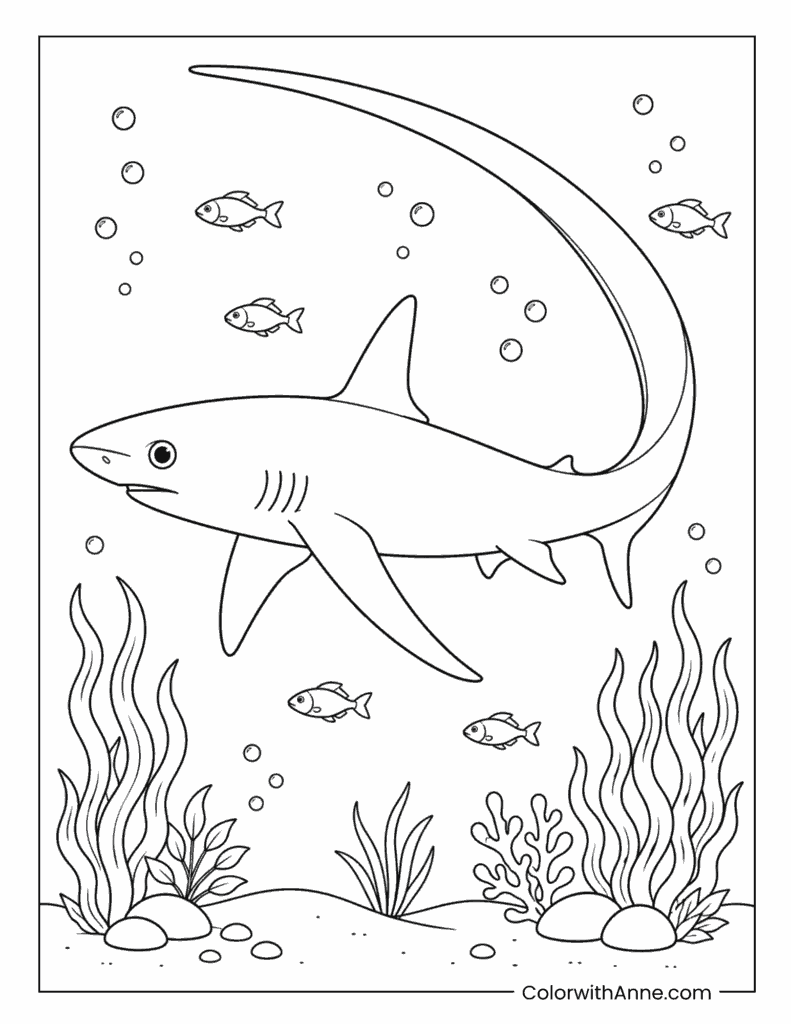 Thresher Shark Swimming Underwater Coloring Page
