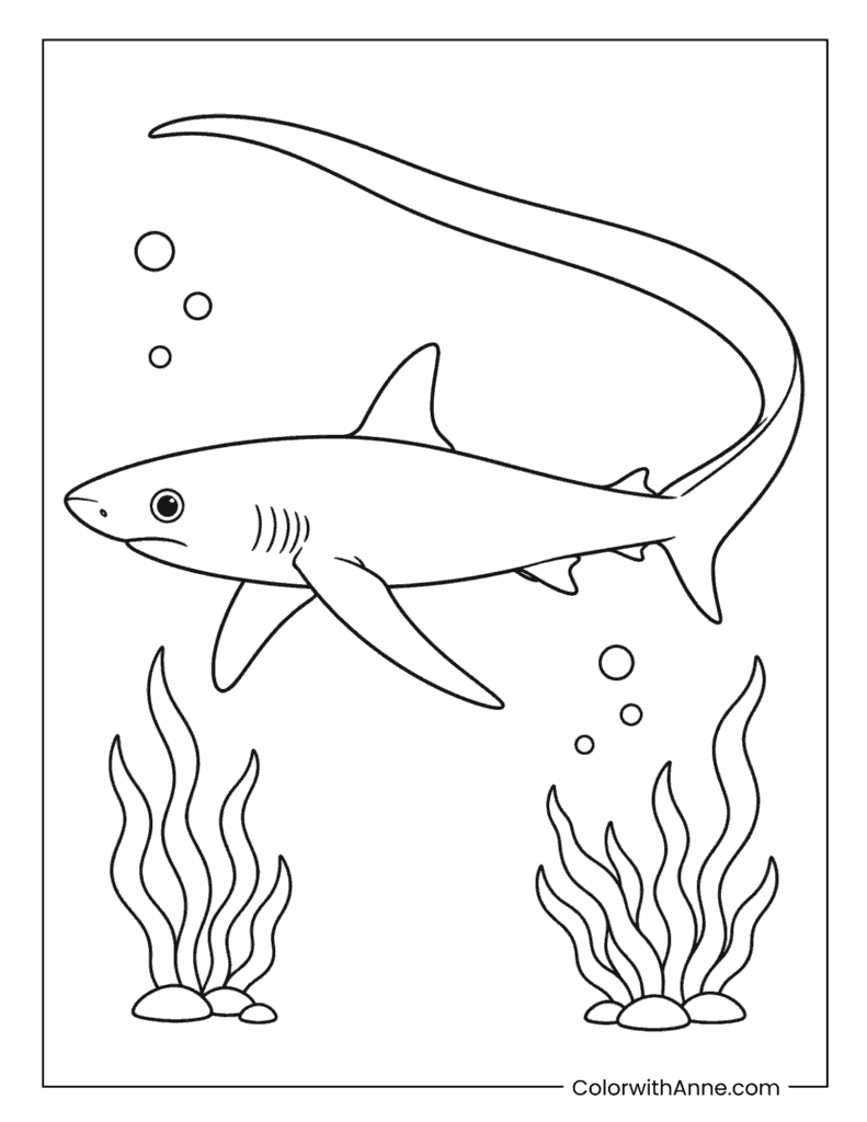 Thresher Shark Swimming with Its Long Tail Coloring Page