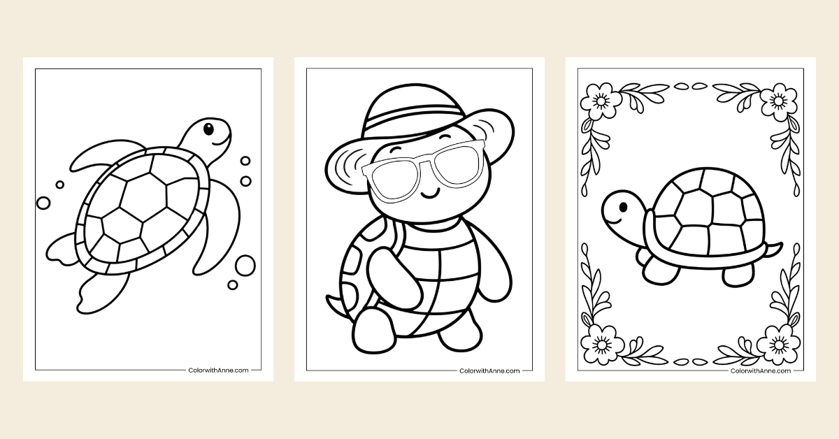 Turtle Coloring Pages Banner