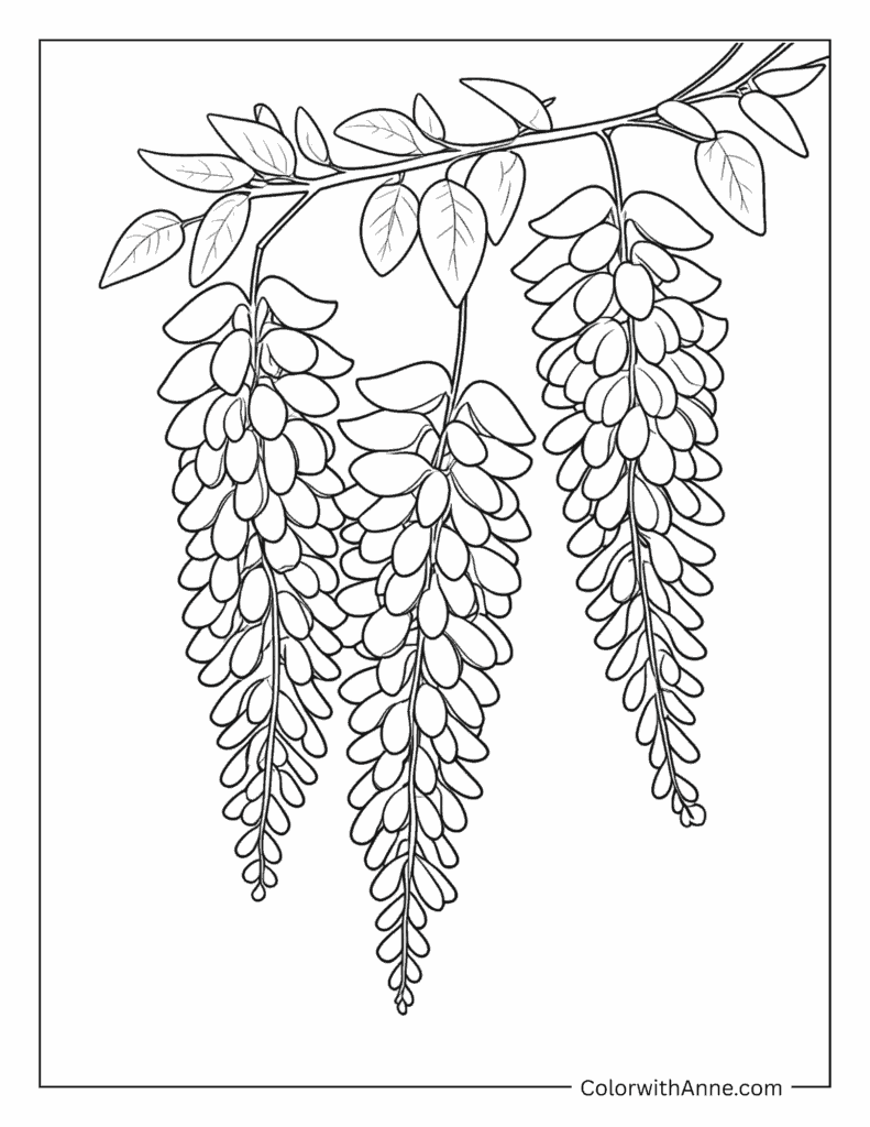 Wisteria Coloring Page