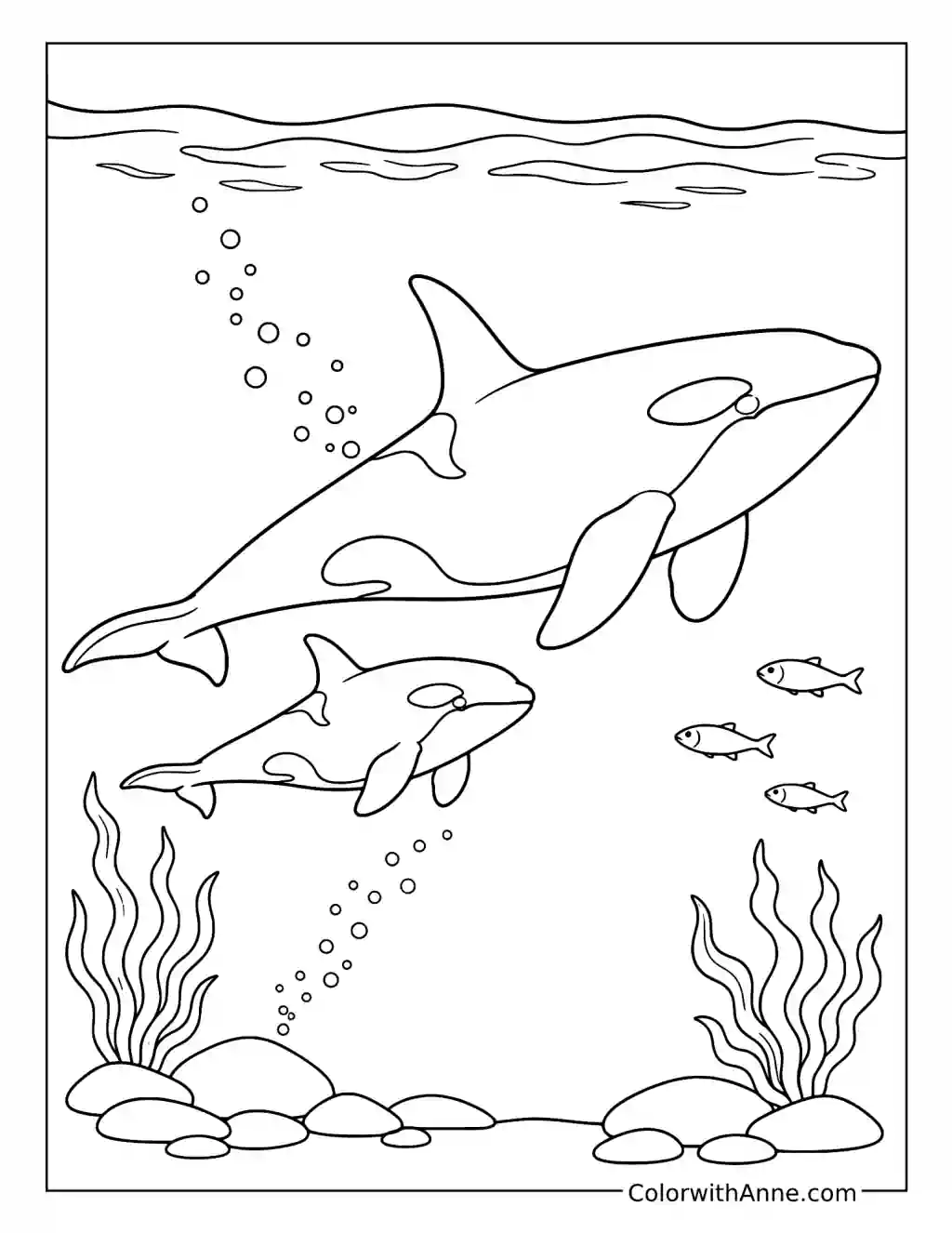 Baby Orca Following Its Mother coloring page