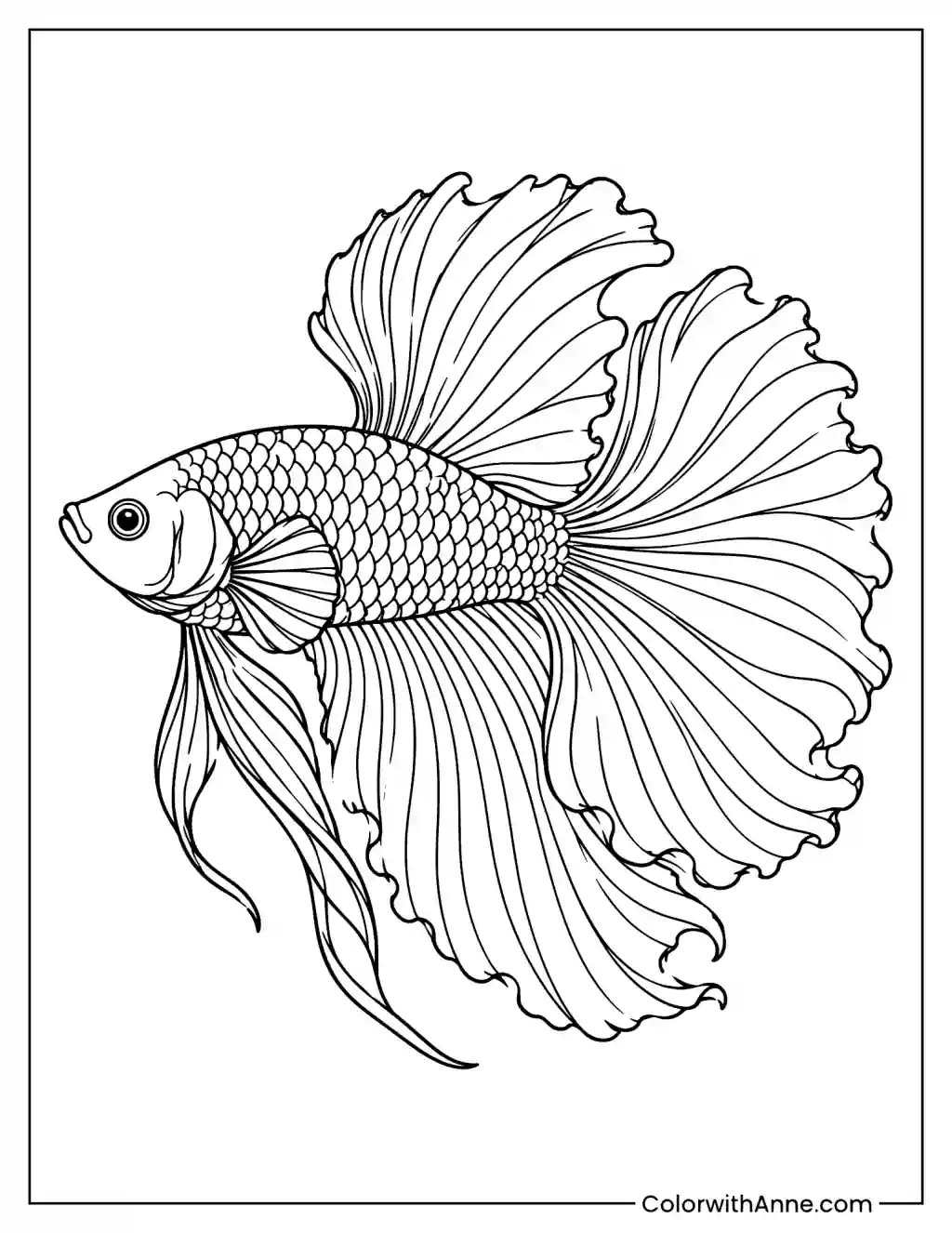 Betta Fish Coloring Page